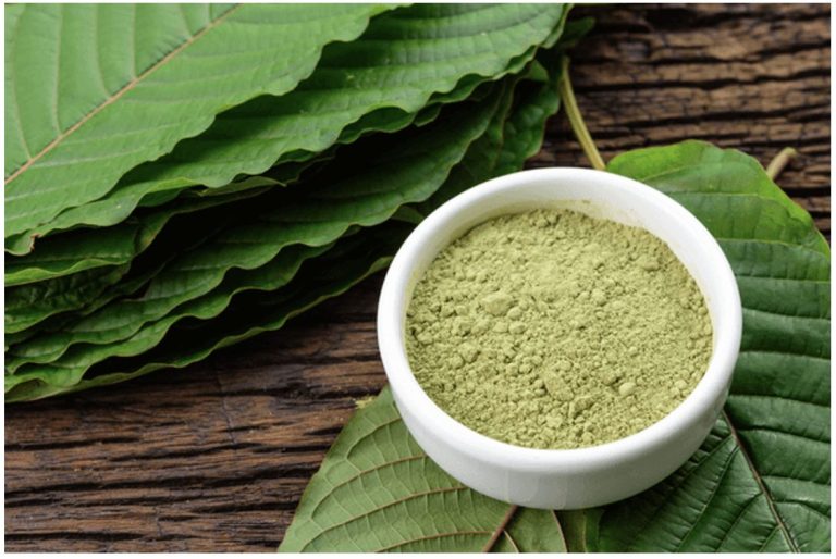 Kratom Powder for Beginners